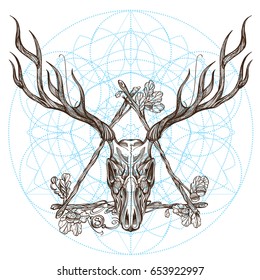 Sketch of deer skull in triangular vintage frame. Outline vector illustration for tattoo, printing on t-shirts, posters and other items.