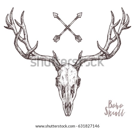 Sketch Deer Skull Tribal Arrows Boho Stock Vector (royalty Free 