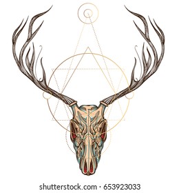 Sketch of deer skull. Vector illustration for tattoo, printing on t-shirts, posters and other items.