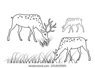 Sketch of a deer. Deer vector with stroke line, Deer Silhouette illustration. Silhouette of a line deer icon, vector, logo. Vector illustration.