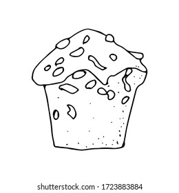 Sketch of delicious design for cards, posters, recipes. Hand-drawn design of home baking, cupcake with nuts. Vector illustration on a white background.