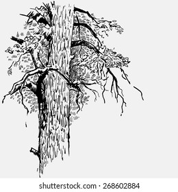 A sketch depicting a tree trunk.