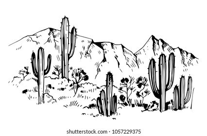 Sketch of the desert of America with cacti. Prairie landscape. Hand drawn vector illustration