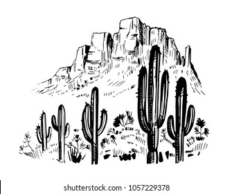 Sketch of the desert of America with cacti. Prairie landscape. Hand drawn vector illustration