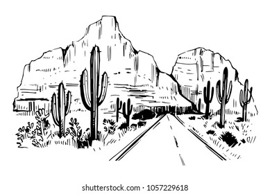 Sketch of the desert of America with cacti. Prairie landscape. Hand drawn vector illustration