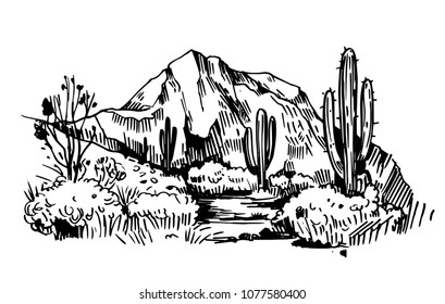 Sketch of the desert of America with cacti. Prairie landscape. Hand drawn vector illustration