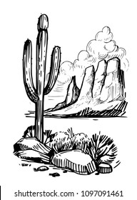 Sketch of the desert of America with cacti. Prairie landscape. Hand drawn vector illustration