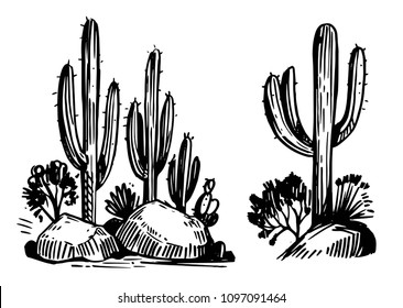 Sketch of the desert of America with cacti. Prairie landscape. Hand drawn vector illustration