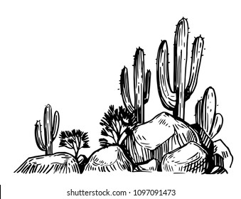 Sketch of the desert of America with cacti. Prairie landscape. Hand drawn vector illustration