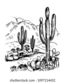 Sketch of the desert of America with cacti. Prairie landscape. Hand drawn vector illustration