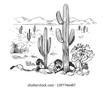 Sketch of the desert of America with cacti. Prairie landscape. Hand drawn vector illustration