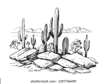 Sketch Of The Desert Of America With Cacti. Prairie Landscape. Hand Drawn Vector Illustration