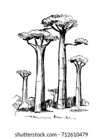 Sketch of the desert of South America with 
baobabs. Prairie landscape. Hand drawn vector illustration