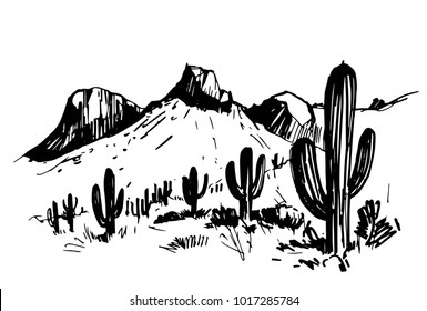 Sketch of the desert of South America with cacti. Prairie landscape. Hand drawn vector illustration