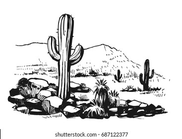 Sketch Desert South America Cacti Prairie Stock Vector Royalty Free 687122377