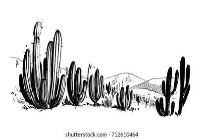 Dibujo del desierto de Sudamérica con cactus. Paisaje pintoresco. Ilustración vectorial dibujada a mano