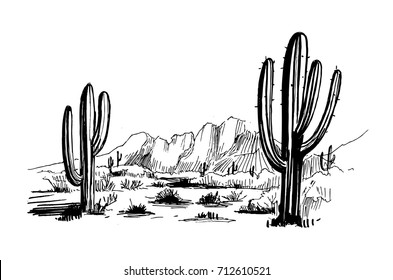 Sketch of the desert of South America with cacti. Prairie landscape. Hand drawn vector illustration