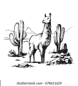 Sketch of the desert of South America with lama and cacti. Prairie landscape. Hand drawn vector illustration