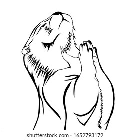 Sketch design of illustration beaver on White background 