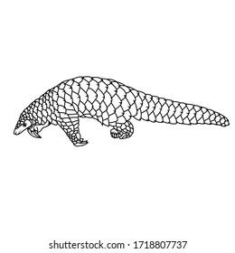 Sketch design of pangolin on White background 