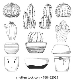 Sketch of different pots and succulents. Vector illustration of a sketch style.