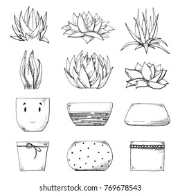 Sketch of different pots and succulents. Vector illustration of a sketch style.