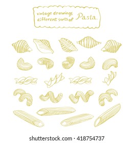 Sketch of different sorts of pasta is a great design element for italian restaurants and pasta restaurants.