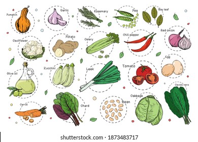 Sketch of different vegetables. Recipe stickers. Set of vegetables isolated on a white background. Vector