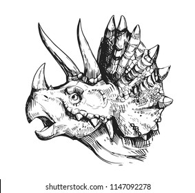 Sketch of a dinosaur head with an open mouth.  Hand drawn illustration converted to vector