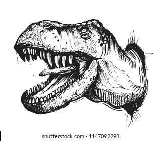 Sketch of a dinosaur head with an open mouth. Tyrannosaur. Hand drawn illustration converted to vector