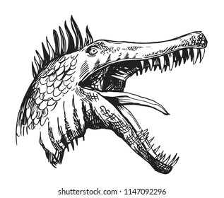 Sketch of a dinosaur head with an open mouth.  Hand drawn illustration converted to vector