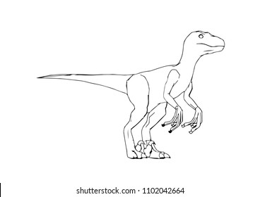 sketch of a dinosaur vector