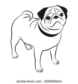 Sketch of dog.