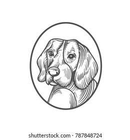 sketch of dog. engraved dog. dog beagle
