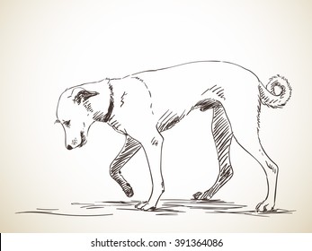 Sketch of dog. Hand drawn illustration. Isolated