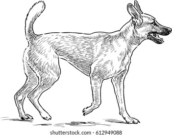 2,458 Running dog sketch Images, Stock Photos & Vectors | Shutterstock