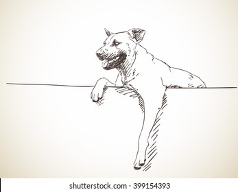 Sketch of dog on the white wall. Hand drawn illustration. Isolated