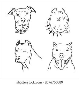 Sketch of Dog Pit bull terrier. Vector Illustration