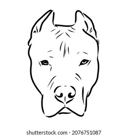 Sketch of Dog Pit bull terrier. Vector Illustration