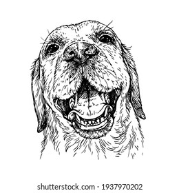 Sketch dog portrait. Dog having a big smile.Hand drawn ink illustration