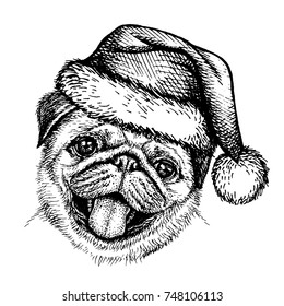 Sketch Dog in Santa