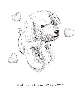 Sketch Dog toy sitting. Sketch hearts