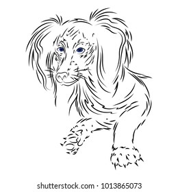 Sketch of Dog. Sketch vector graphics black and white drawing.