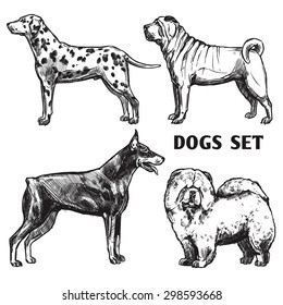 Sketch dogs portrait set with dalmatian doberman shar-pei and chow chow profiles isolated vector illustration