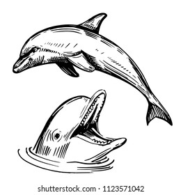 Sketch Of Dolphin. Hand Drawn Illustration Converted To Vector