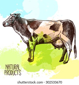 Sketch domestic cow standing with water color splashes on background vector illustration