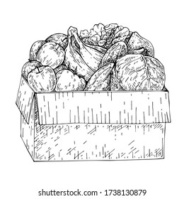 Sketch Donation box with food. Fresh fruit and vegetables in box. Hand drawn cardboard box with various natural food. Food delivery