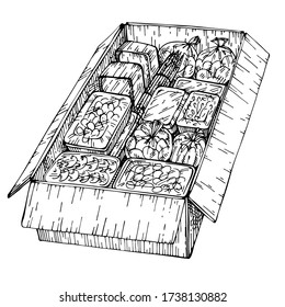 Sketch Donation box with food. Fresh fruit and vegetables in box. Hand drawn cardboard box with various natural food. Food delivery