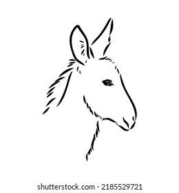 Sketch Donkey Hand Drawn Illustration Donkey Stock Vector (Royalty Free ...