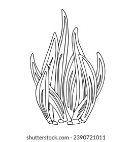 Sketch, doodle of a blooming cactus, succulent. Vector graphics.
